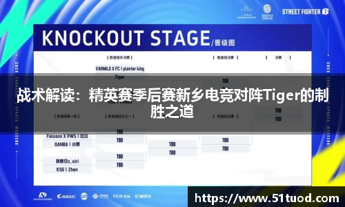 战术解读：精英赛季后赛新乡电竞对阵Tiger的制胜之道
